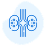 Cálculos renales (litiasis renal)